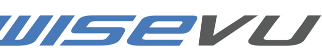 Web Development Project Manager — Wisevu